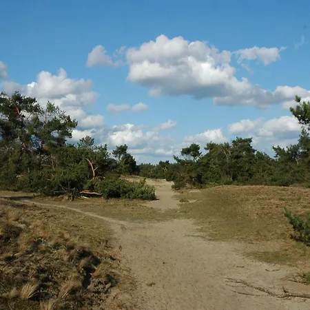 Bamboo In Veluwe, Cleaning Included Вортхёйзен